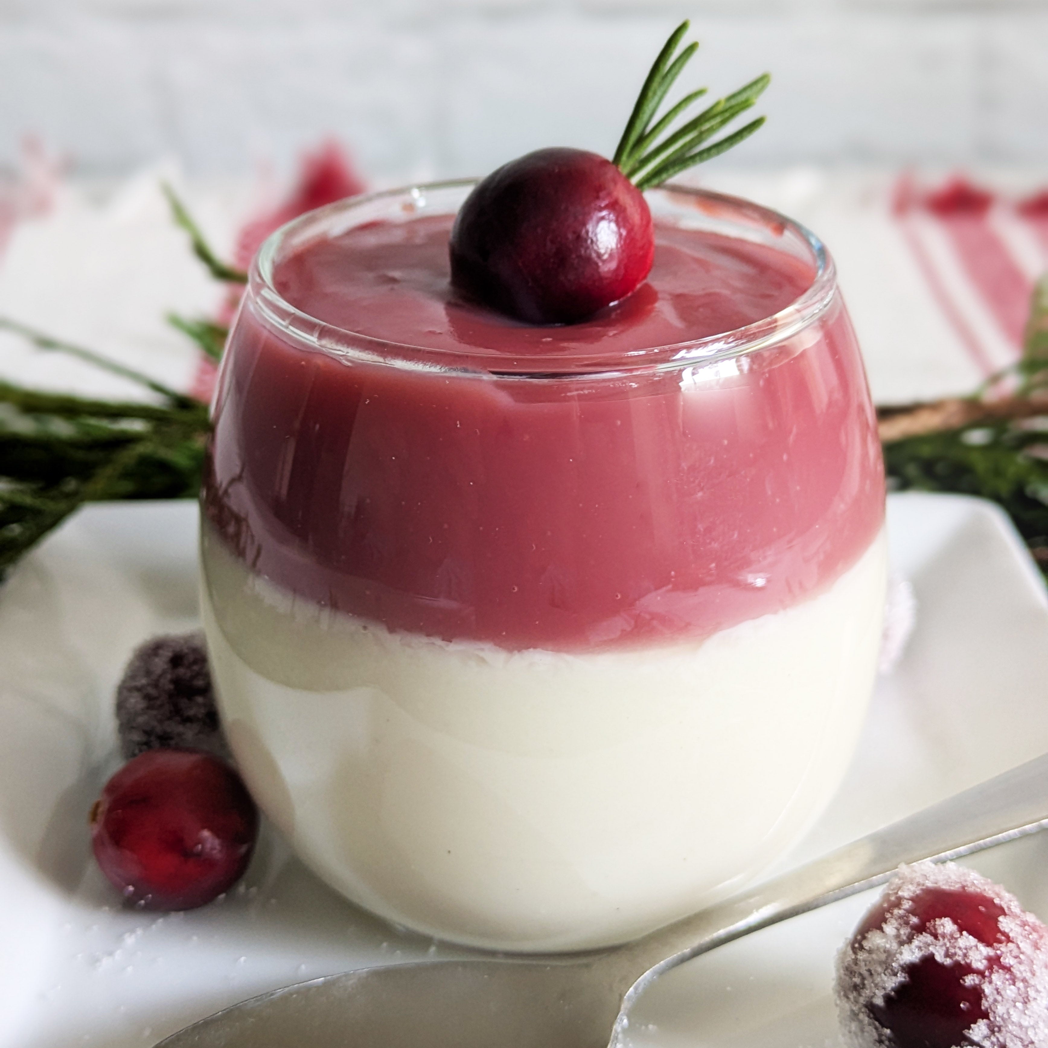 Paradigm Foodworks Cranberry Curd Panna Cotta