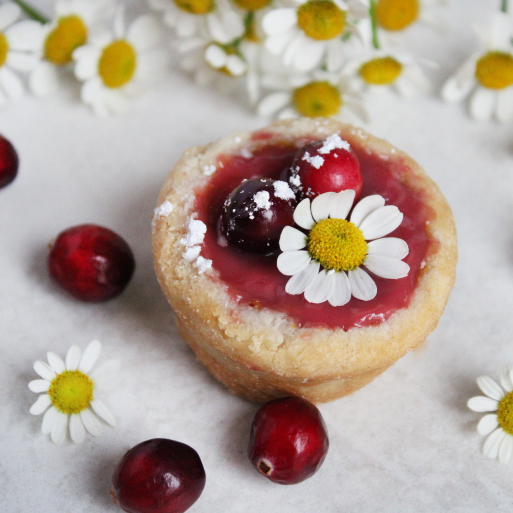 Paradigm Foodworks Cranberry Curd Tart