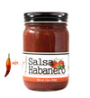 Jar full of salsa on white background with “Hot” spice indicator to the left. The jar is labeled, “Paradigm Salsa Habanero – Net Weight 12oz (340g)”.